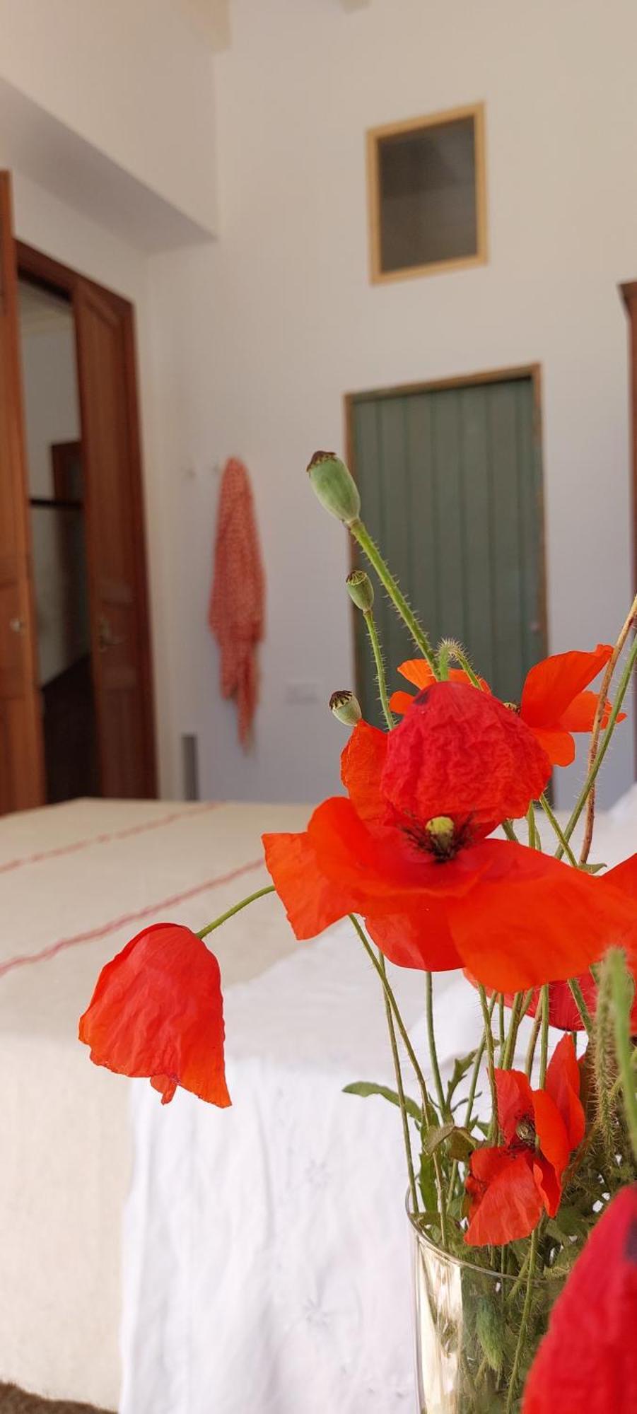 Idayvuelta Home & Suites With Private Pool セス・サリネス エクステリア 写真